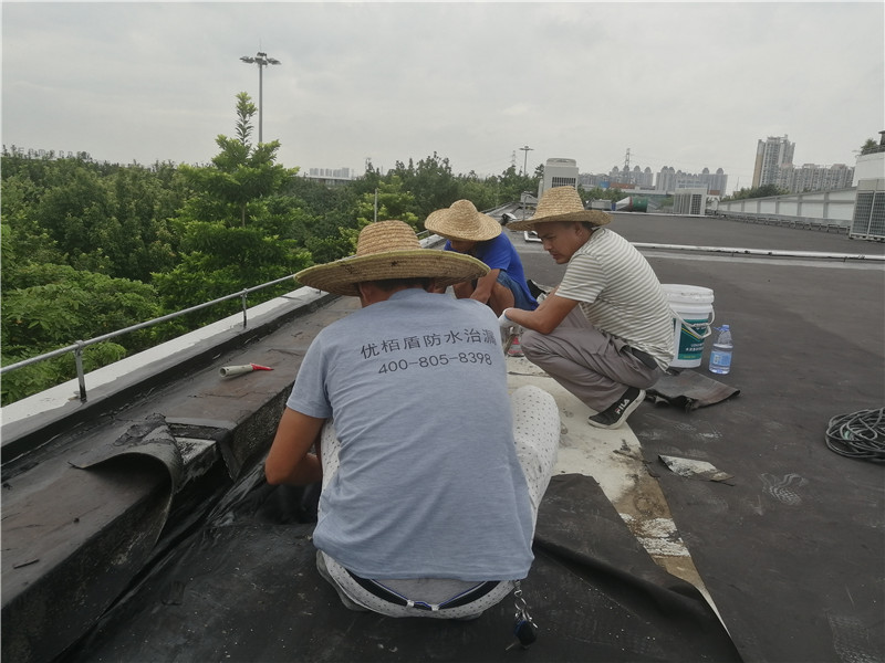 广州雨季来临屋面楼顶如何做好防水补漏？ 第1张
