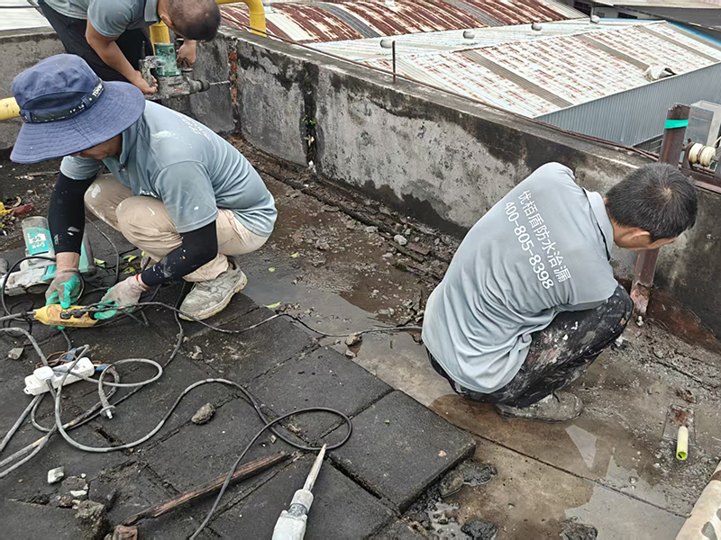 微信图片_2025-10-14_155149_299 拷贝.jpg