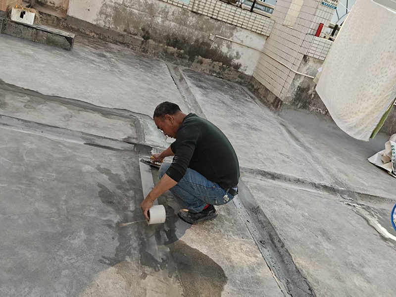 微信图片_2026-02-05_183738_804 拷贝.jpg