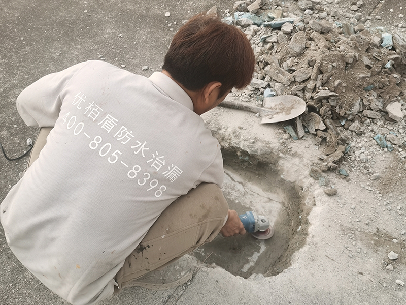 微信图片_2026-01-15_154958_468 拷贝.jpg